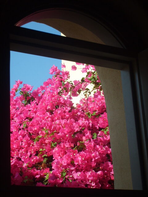 Bougainvillea sprechen durch das Schlafzimmerfenster bei strahlend blauem Himmel